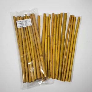 golden-willow-cuttings